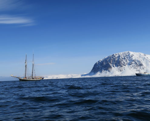 arctic sea, sailing, skiing , guides , guided ski trips, svalbard, skiing