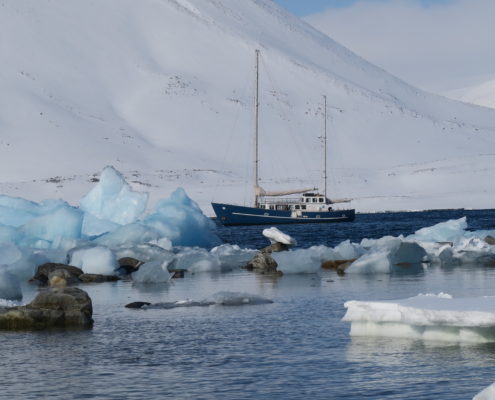 sailing and skiing, svalbard skiing, mountain guides, guided ski trips, arctic circle, longyear, spitsbergen